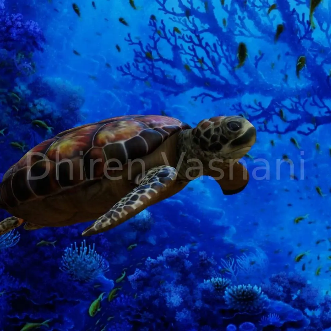 3D Render of a Sea Turtle